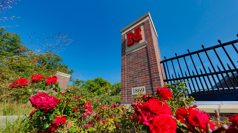 Campus gates summer