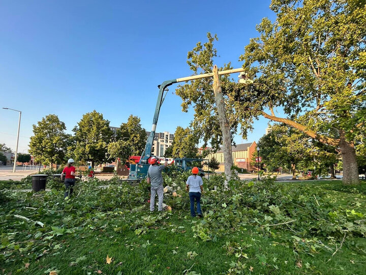 Landscape Services: Facility Maintenance and Operations - Cleanup